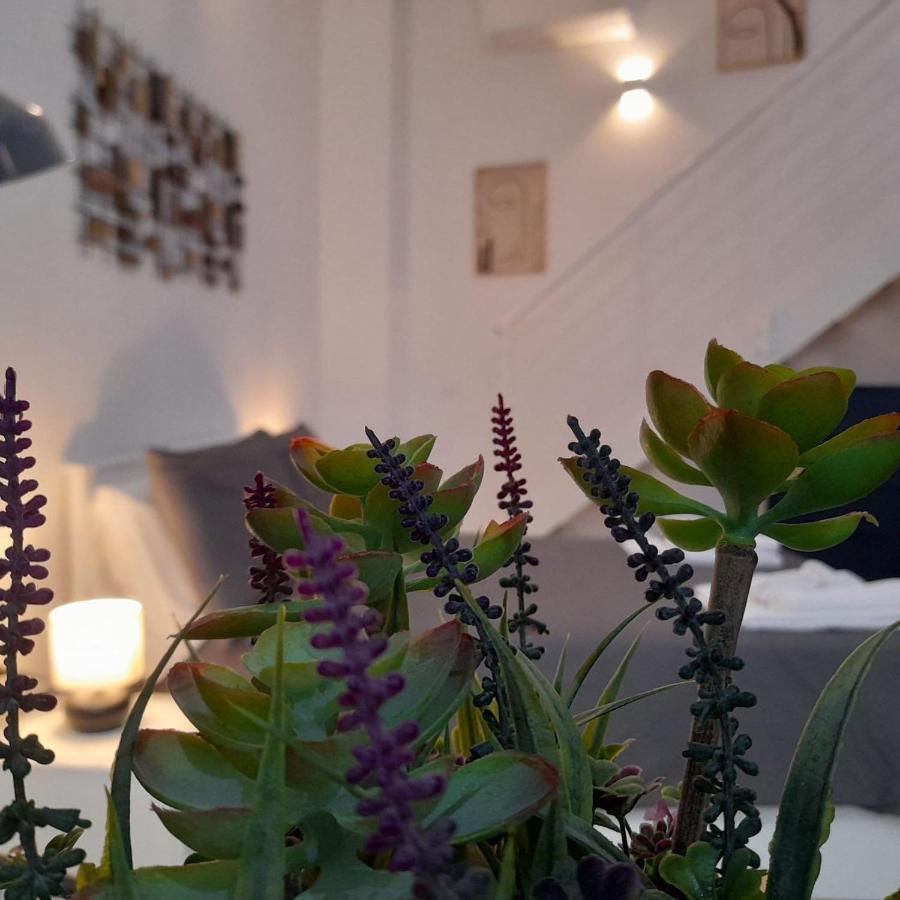 Appartement Miriam Loft S.Orsola Bologne Extérieur photo
